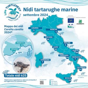 Mappa nidi tartarughe, aggiornata a settembre 2024